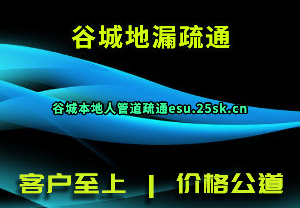 ȳǵ©ͨ