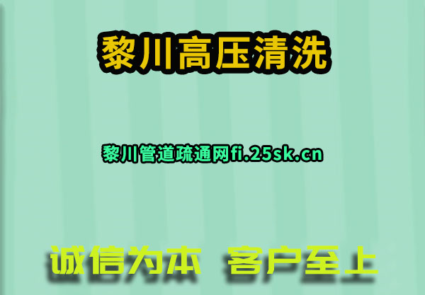 质ѹϴ